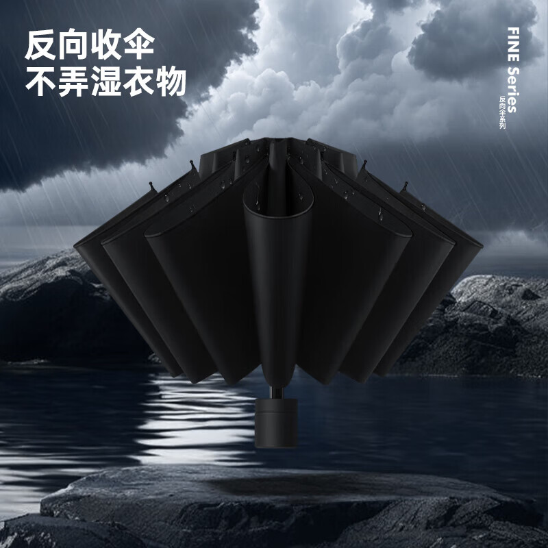 12骨超大号双人伞抗风暴折叠伞晴雨两用黑胶遮阳结实耐用防晒伞 梧桐米 12骨