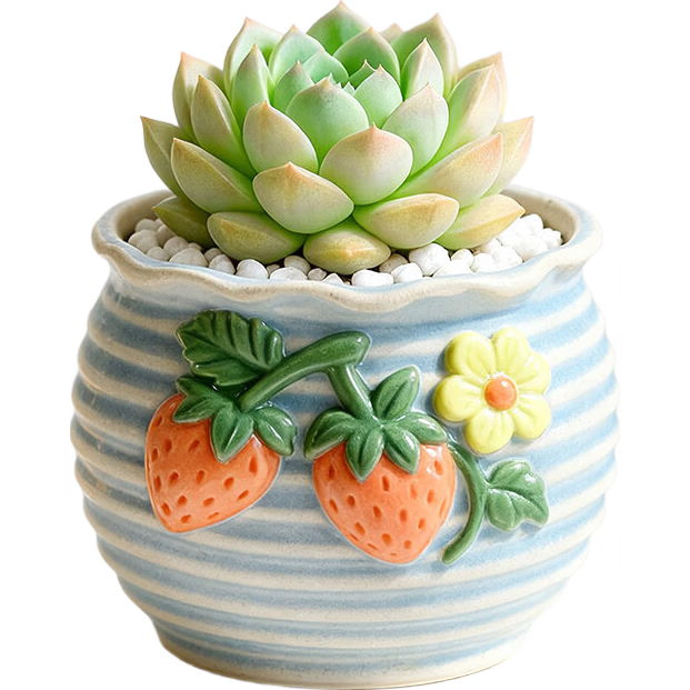 ���ڲ���������С������������ֲ����칫����������ֲ�������������׶�԰�� ɯɯŮ��+D114�裨������ʯ+����+���� 11.14Ԫ