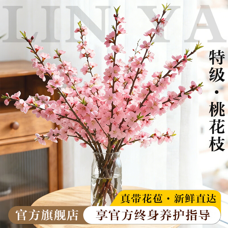 临雅水培桃花枝带花苞干枝红梅珍珠李鲜花室内花卉盆栽鲜切水养绿植物 【旗舰款】鲜桃花枝40-50cm【10枝】