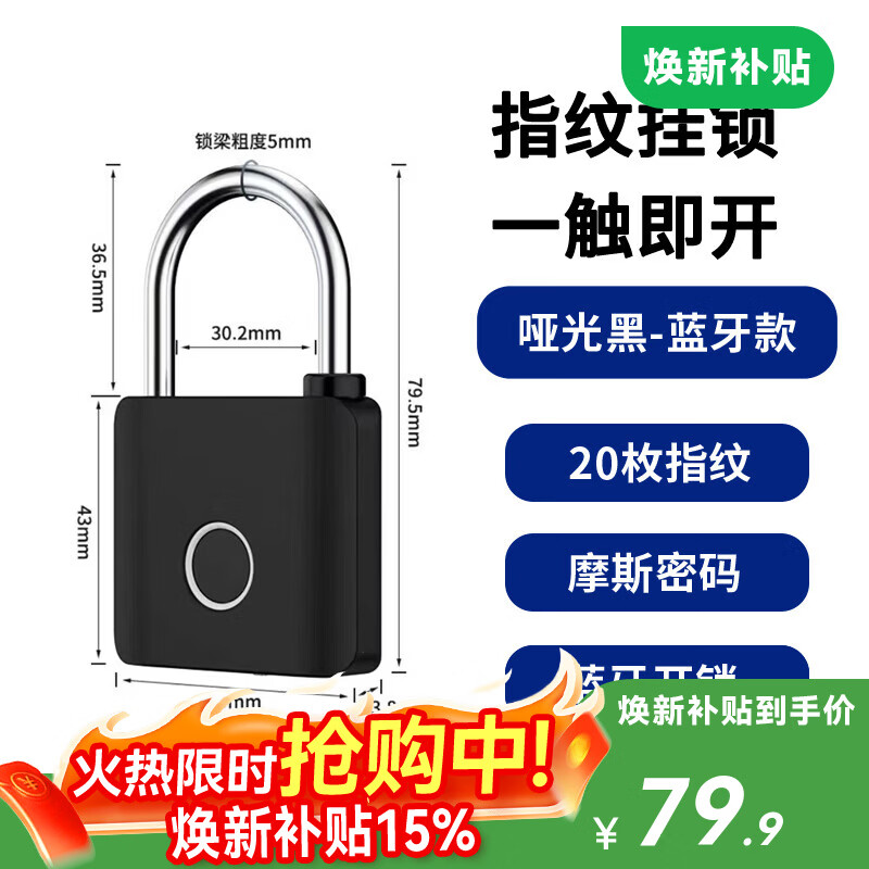法雷斯顿 FALEISTON智能电子锁指纹挂锁家用小锁头抽屉锁学生寝室宿舍柜门储物防盗锁 哑光黑-蓝牙款
