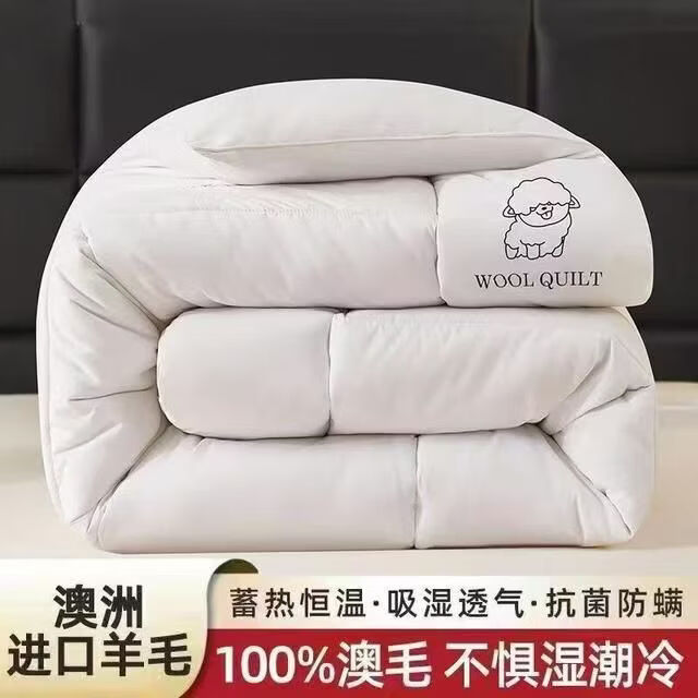 ���ƽ��ڰ���100����ë��������ů��оѧ�����˱��ӾӼ�˫��1.8m���� ������-�� 150*200����6�� 109Ԫ