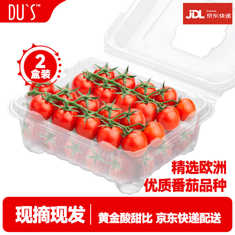 DU'S杜氏水果樱桃番茄 可生吃生鲜蔬菜西红柿黄金酸甜比 源头直发包邮 散串番茄  500g*2盒 1000g