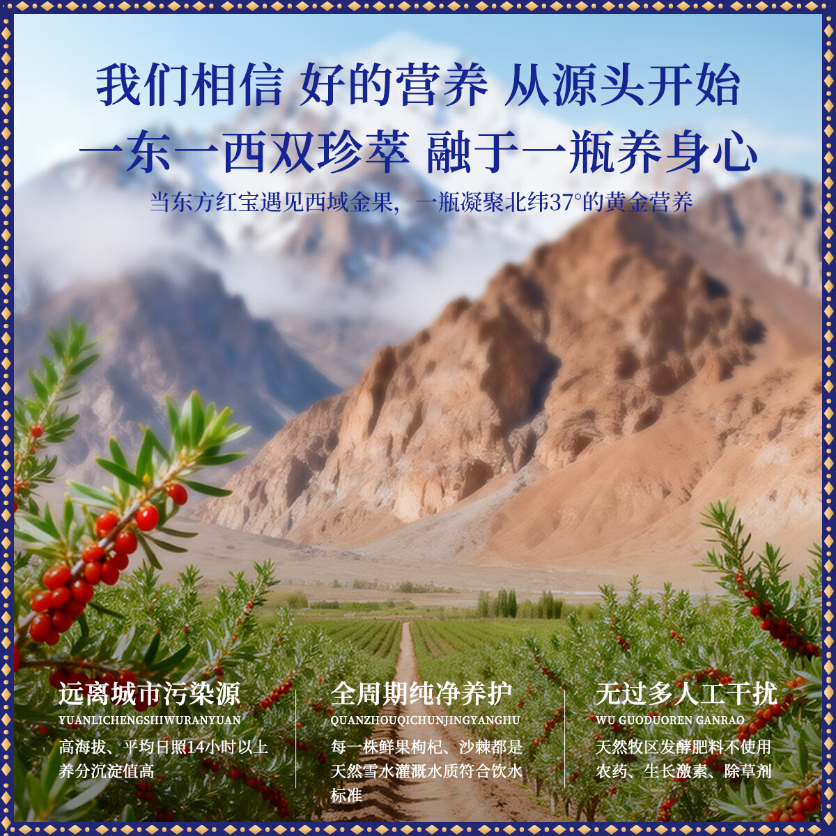 阳光南疆枸杞沙棘复合原浆50ml*10瓶礼盒装富含花青素VC滋补年货春节送礼 500ml*1盒