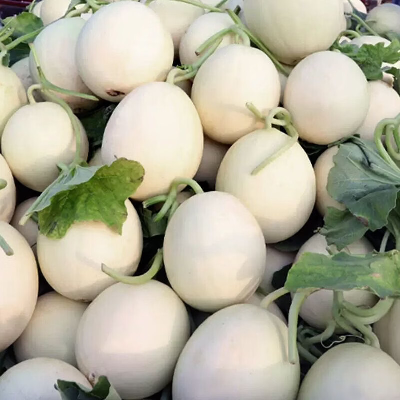 田园东方 ORIENT IDYLL海南冰糖脆梨甜瓜 带箱 5斤装（净重4.5斤）约1-3个