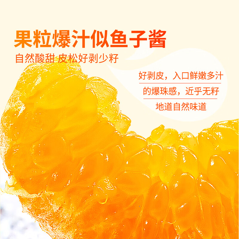 东方甄选春见耙耙柑 5斤/8斤装 自然酸甜 坏果包赔 5斤大果(200g+ 到手约8-13个)