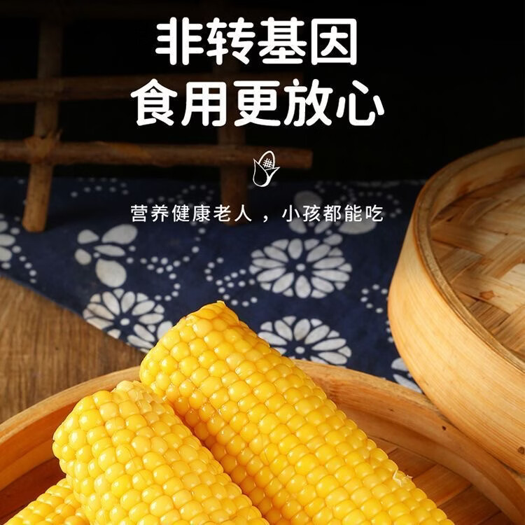 东北黑龙江黄糯玉米棒新货真空装包装袋黄苞米黏糯新鲜甜玉米特产 黄糯玉米200-260g*1根【真空装-试吃】