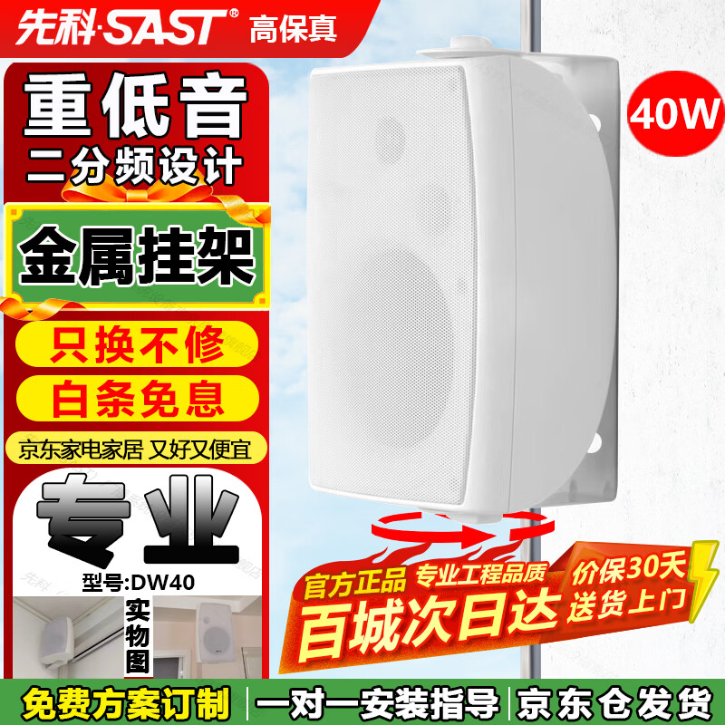 先科（SAST）DW40壁挂式音响音箱喇叭 40W无源需连功放机店铺商用工程会议室家用餐厅公共广播背景音乐4英寸
