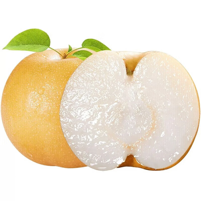 闽域寻鲜山东莱阳羊脂秋月梨应季新鲜水果礼盒送礼现摘冰糖梨子秋月梨 5斤轻享装【净重4.5斤丨约10-12枚】