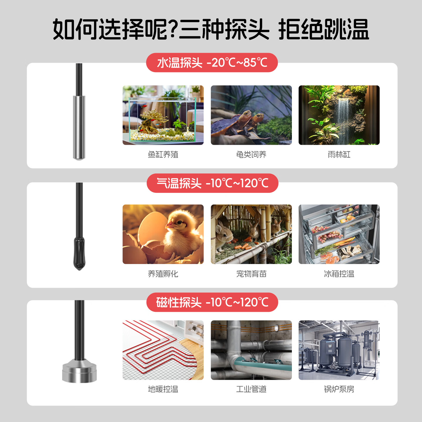 国际电工（FDD）温控器自动控温智能数显电子控温仪开关插座鱼缸养殖温度控制器 温控器【10A五孔/水温探头】