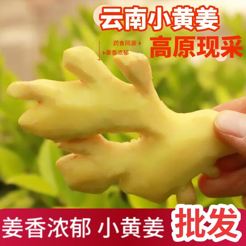 云南小黄姜当季新鲜超市同款小黄姜月子姜生鲜蔬菜调料姜 4斤带箱