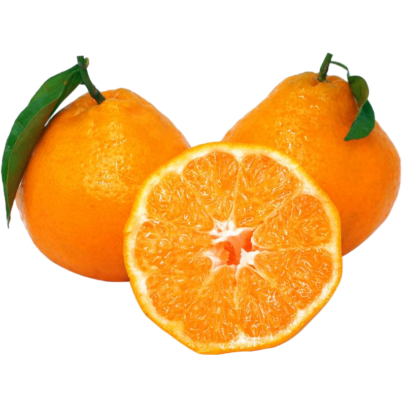 ���ڴ����ҰҸ��ְ����� �ش��85mm+ ����10�ﾻ��9�� ��ش��մ� 29.9Ԫ