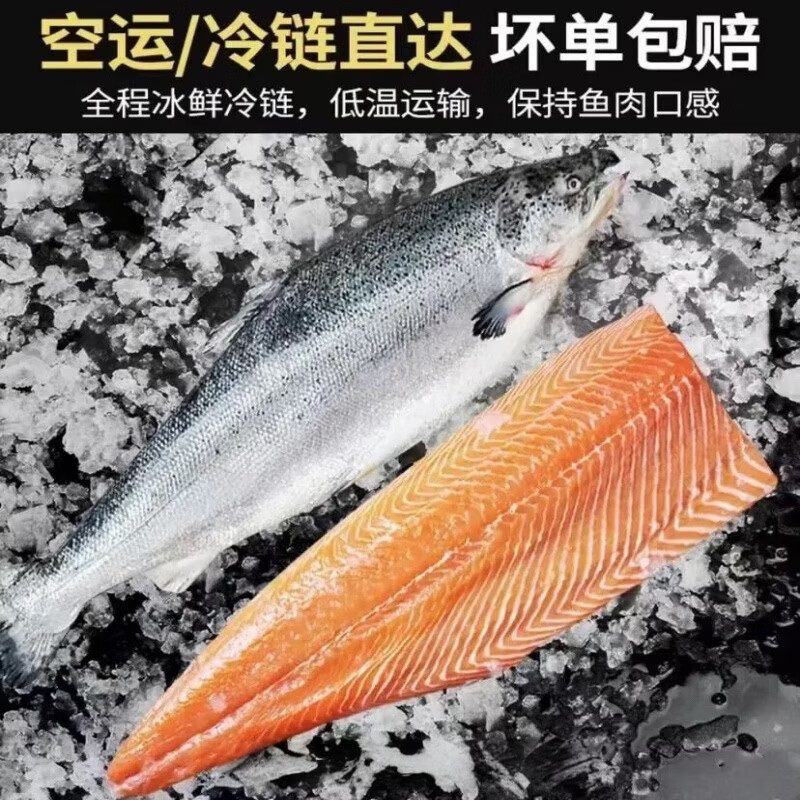 LZJV进口冰鲜三文鱼整条桑福德帝王鲑 法罗皇冠 挪威三文鱼大西洋鲑鱼 挪威三文鱼【423】整条 16斤