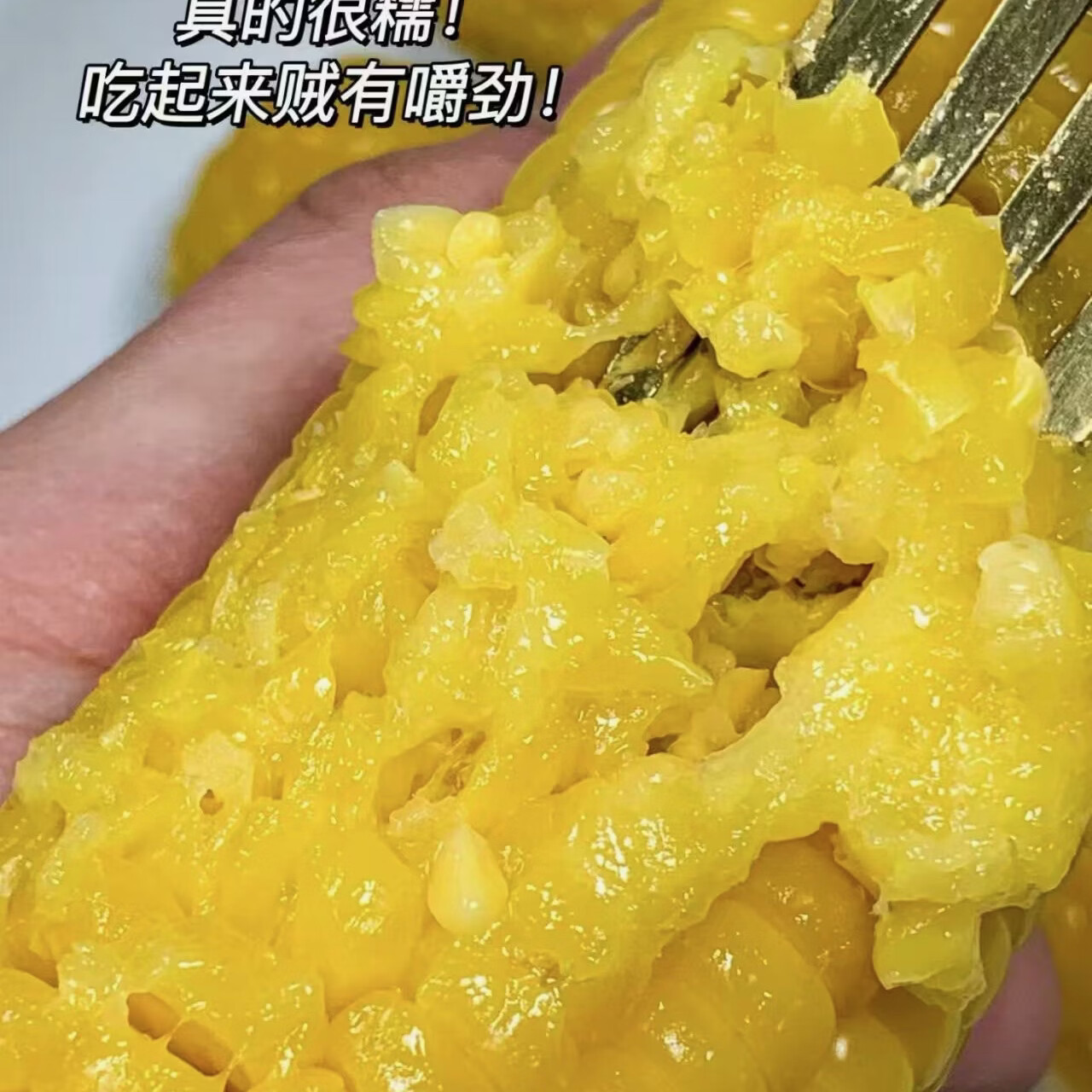 东北黑龙江黄糯玉米棒新货真空装包装袋黄苞米黏糯新鲜甜玉米特产 黄糯玉米200-260g*1根【真空装-试吃】