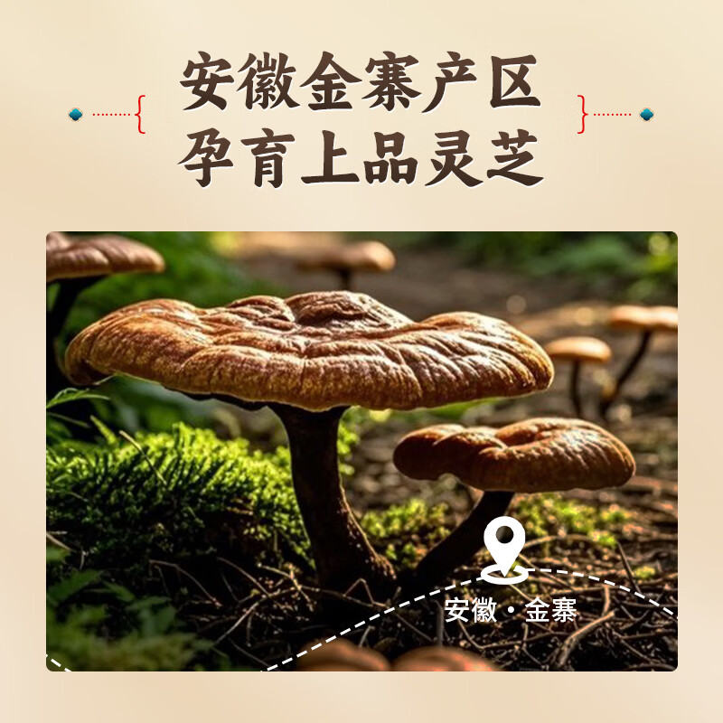 修正破壁灵芝孢子粉2g/袋*20袋/盒中药饮片补气安神健脾益肺增强免疫力探病礼物