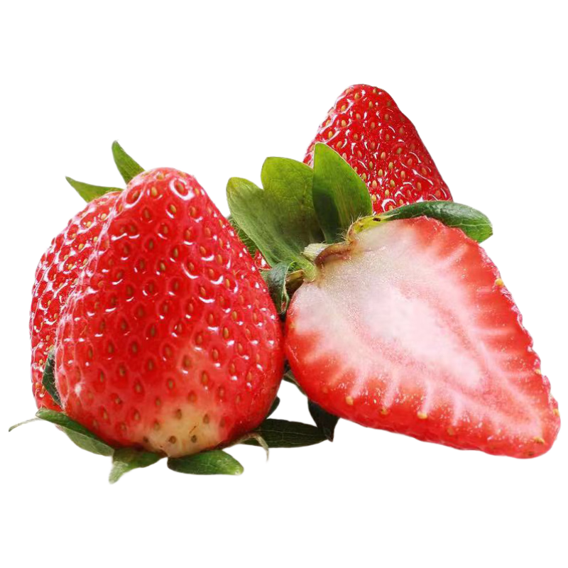 京觅湖北99红颜草莓 净重500g单果15g+ 新鲜水果奶油草莓 源头直发