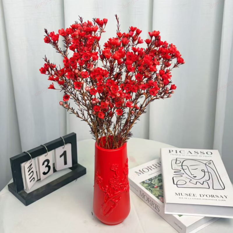 ������÷ ��ɫ 1����100g����60-70cm�ͻ�ƿ1��    15.9Ԫ(����ȯ)