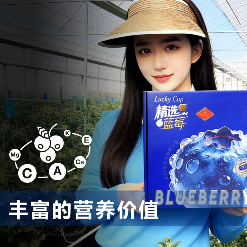 云南花香蓝莓L25高端蓝莓育溪花香蓝莓新鲜蓝莓大果脆甜顺丰包邮 18+（125g*4盒）普通泡沫箱装