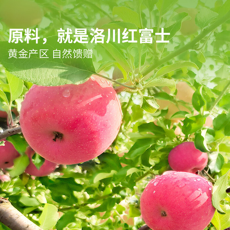 东方甄选苹果干泡水厚切果干洛川红富士低脂零食苹果干独立包装 【到手约25小包】360g*1袋