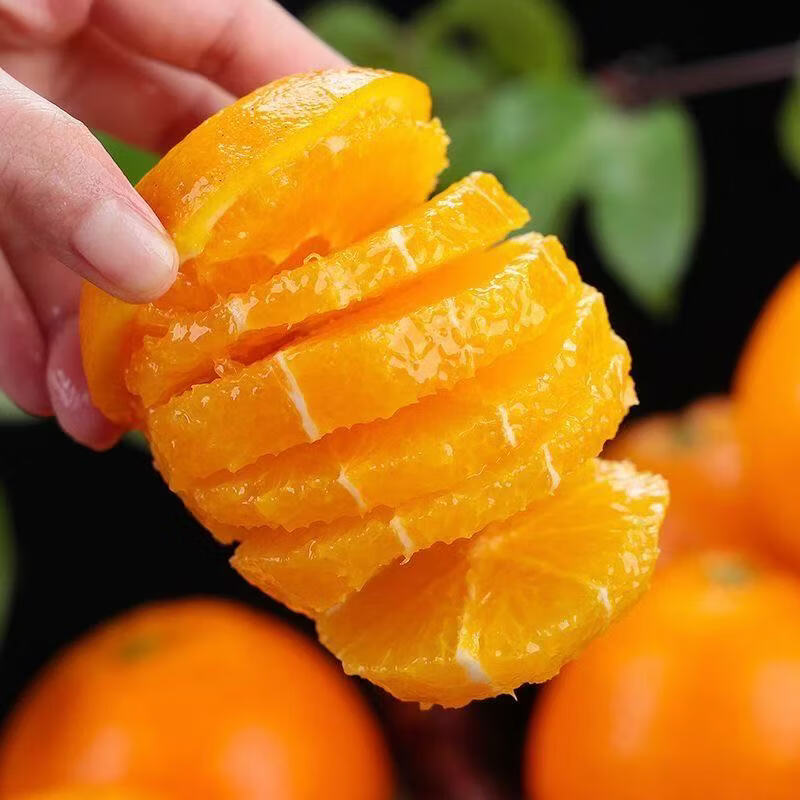 重庆奉节脐橙整箱新鲜当季正宗橙子生鲜纽荷尔橙子可榨汁手剥脐橙 净重5斤【单果70mm+】推荐