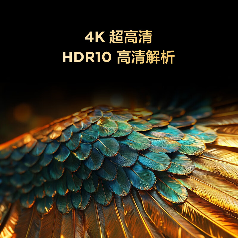 TCL雷鸟电视 55英寸雀4 144Hz高刷 2+32GB 自定义遥控器 家电国家补贴电视55F270C-JN