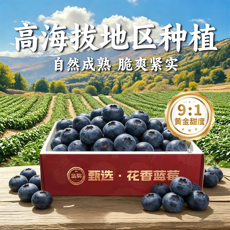 余悦水果礼盒【多地次日达】高端水果混搭多组合水果礼盒春节年货送礼 经典5拼A款【草莓+蓝莓+山竹+金柑+龙眼】5-6斤装