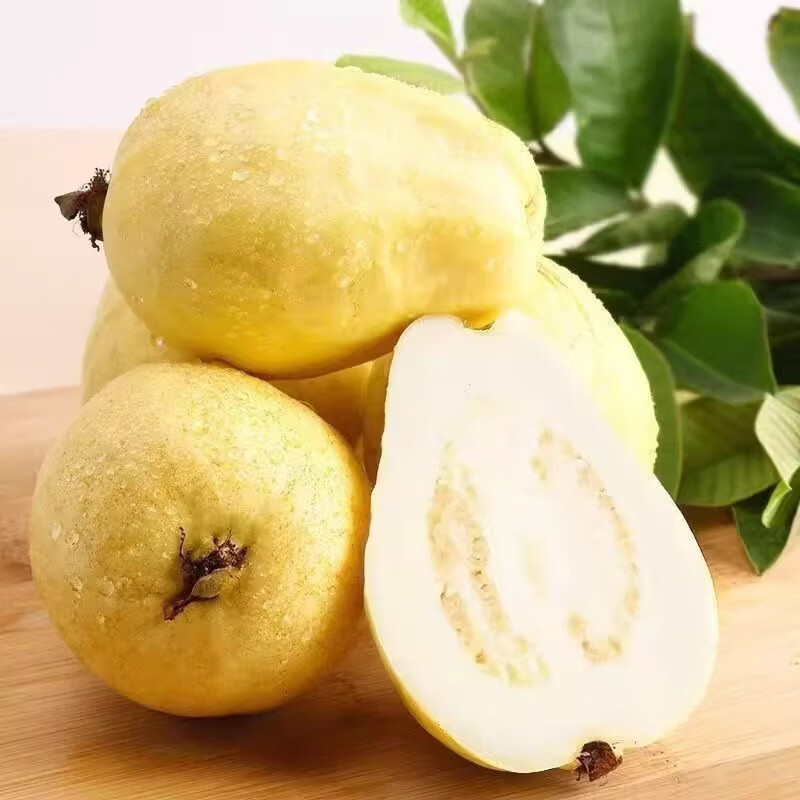 绿熊庄园广东树熟软糯红心白心奶油芭乐番石榴当季新鲜低糖水果｜京东快递 双拼红白心芭乐净重3斤