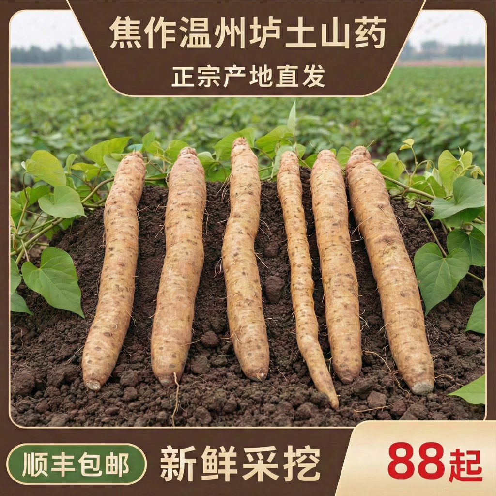 [顺丰发运]焦作温县垆土铁棍无农化鲜山药安全种植粉糯香甜原产地 温县垆土山药 尺寸 50～60公分
