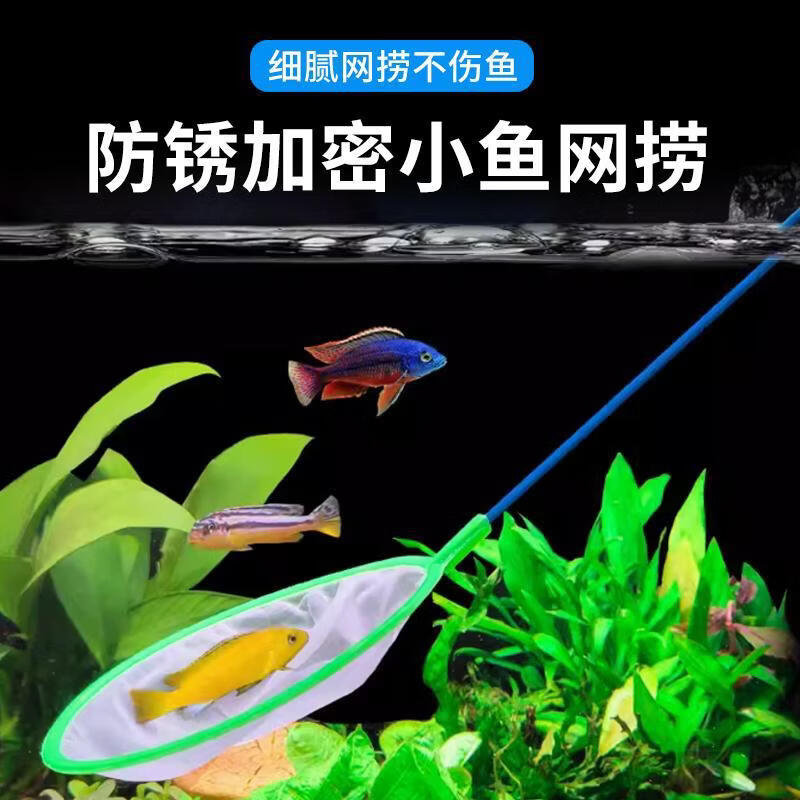 过凡（GUOFAN）鱼缸鱼捞网网捞鱼小号渔捞网兜密网手抄鱼网热带观赏鱼