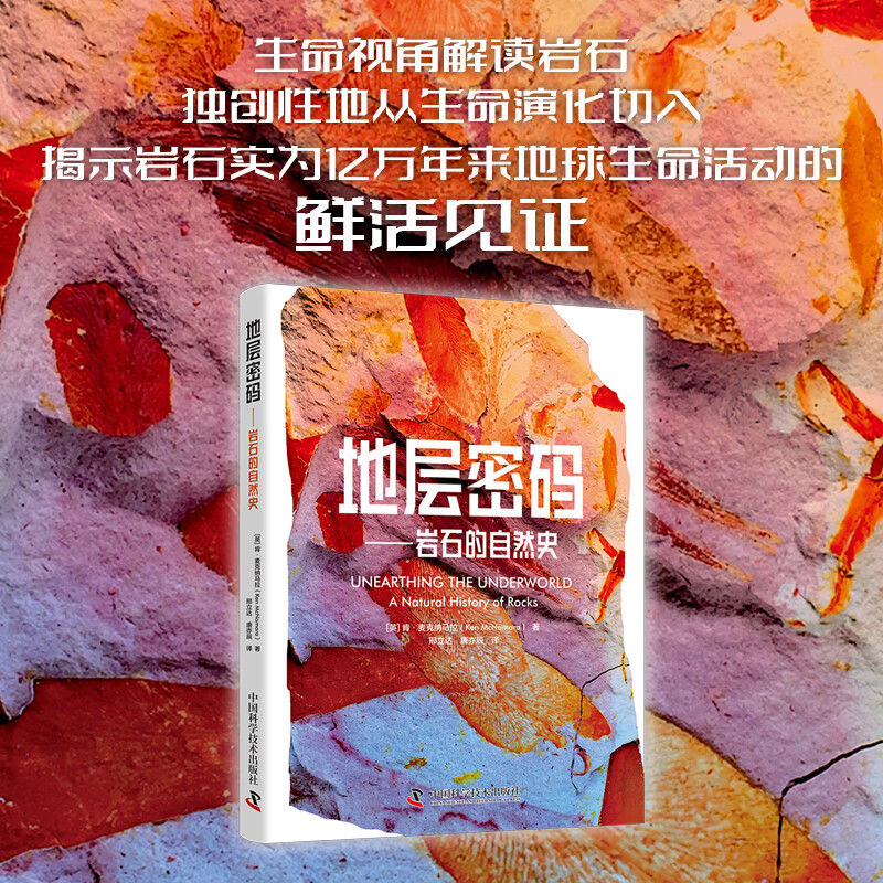 【矿物矿石图鉴】 矿物与岩石完全图鉴  新华书店旗舰店科普图鉴图书书籍 【岩石里的生物进化史】地层密码 岩石的自然史