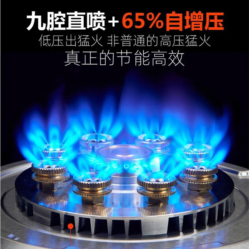 東洋日本東洋一气一电两用灶燃气灶电磁炉二合一气电两用灶燃气灶电磁炉一体台嵌两用家用猛火灶 【左气右电】9腔铜火盖灶-3500W电磁炉 液化气