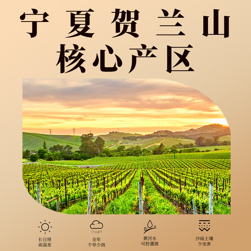 帝月葡萄烈酒1代72度700ml珍稀高度白兰地宁夏加强型蒸馏酒过节送礼 【烈酒一代】72°-700ml -2瓶装