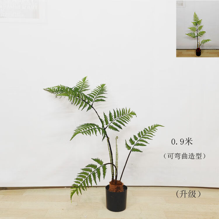 ouoety彷真植物金丝猴蕨树彷生蕨草盆栽假绿植彷真猴头厥波斯草装饰