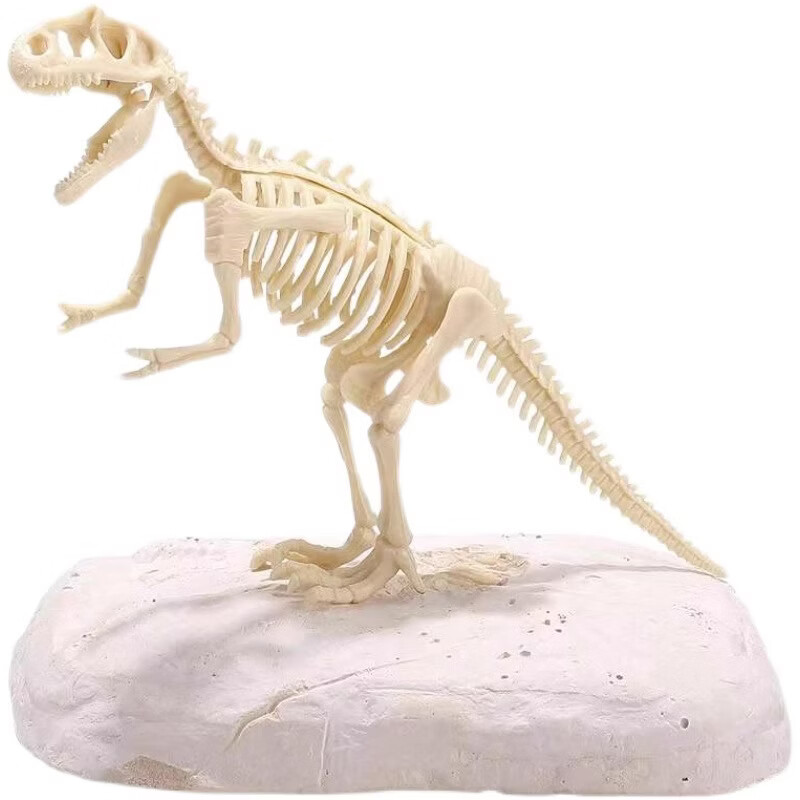 【好物优选】恐龙化石考古挖掘儿童玩具挖土盲盒霸王龙骨架模型三 彩盒装霸王龙