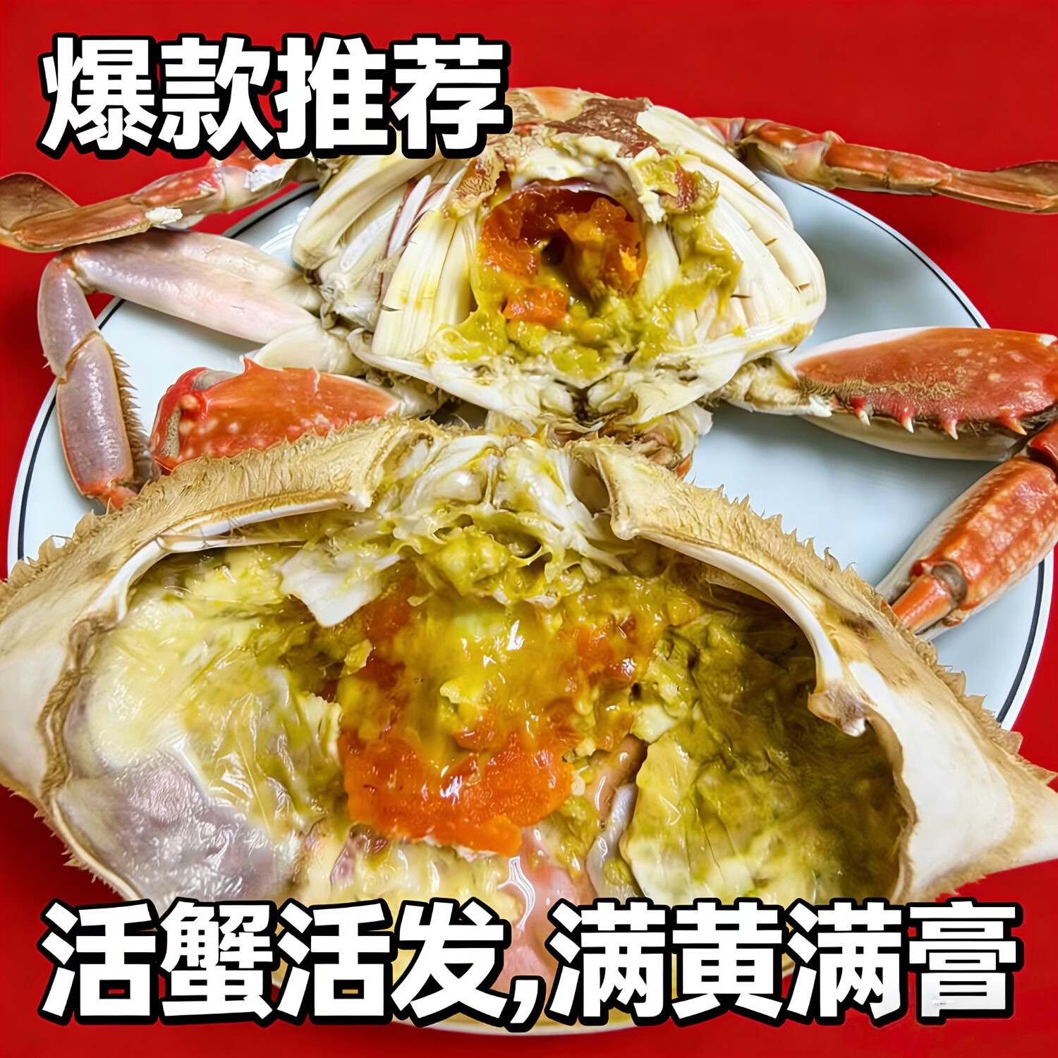 莱州梭子蟹鲜活新鲜飞蟹 海鲜大礼包年货礼盒 海鲜礼盒 海鲜鲜活 梭子蟹鲜活母满黄 每只9两-1斤 8只装