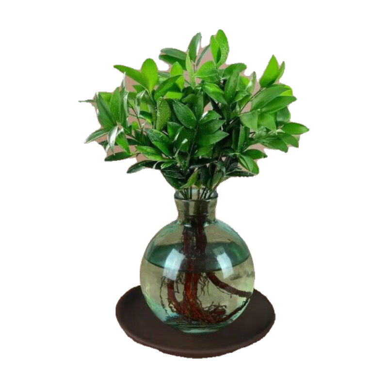 ����һ��������ˮ�෢�����칫�������Ի���ֲ���ļ������вƸ���ɻ��� ��ء���ʽ����ƿ����ɰ���� 53.2Ԫ��4��(��13.3Ԫ/��)