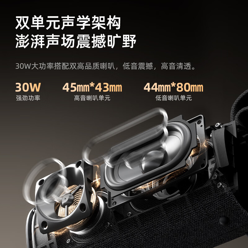 F&D蓝牙音箱 便携音响蓝牙户外大功率大音量高音质音箱 便携蓝牙音箱+荣耀黑 Passion30