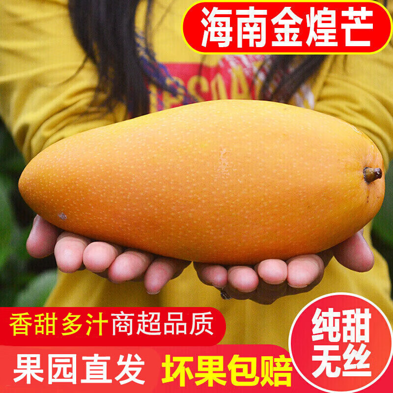 粤迎海南金煌芒新鲜芒果当季热带水果大煌芒超大特大甜心芒果包邮 5斤优选果【单果200g+】净重4.5斤