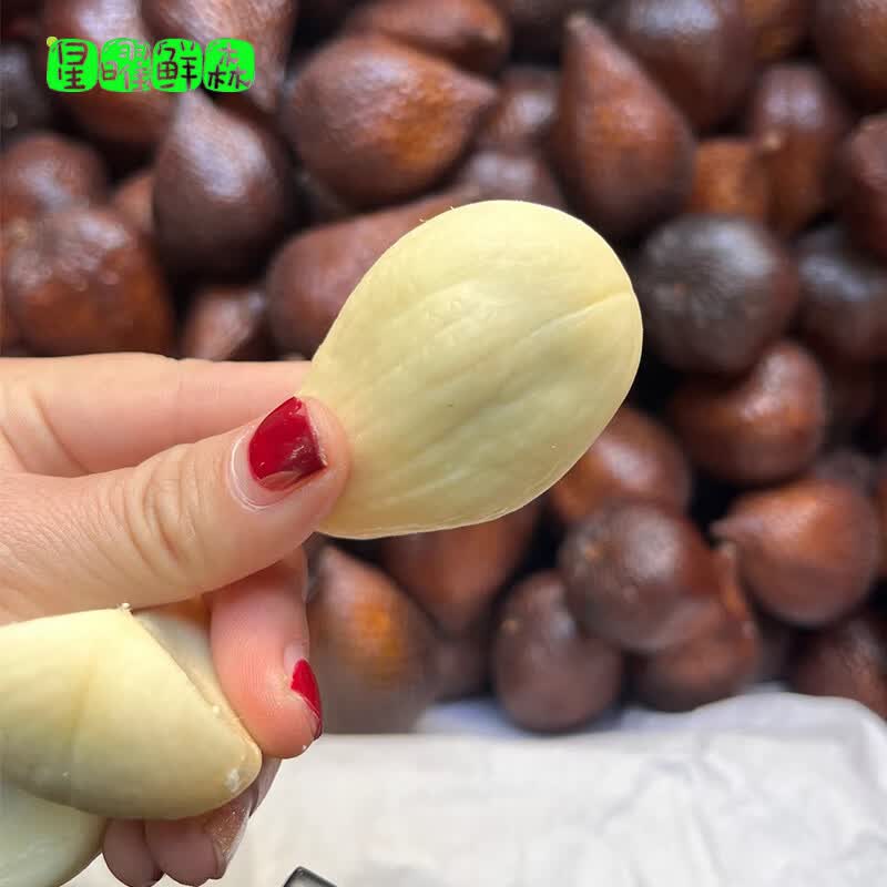 星曜鲜森印尼蛇皮果罕见稀有进口热带时令新鲜水果轻奢高档沙叻顺丰发货 1500g（20-25个）【5A进口大果】顺丰包邮 40-80g单果