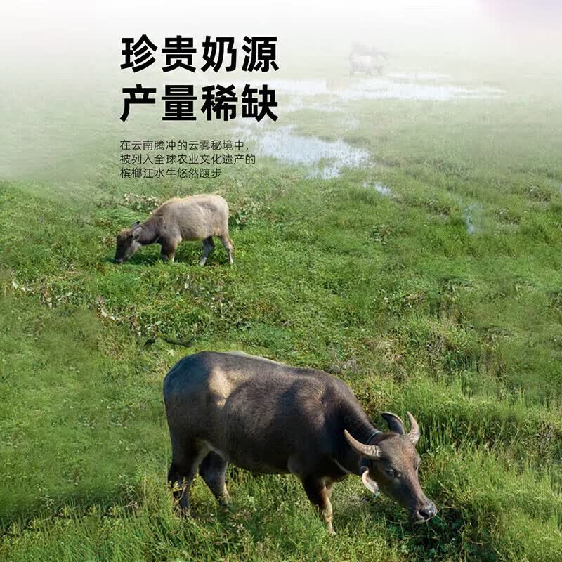 鲜珥家燕窝花胶礼盒即食银耳胶原蛋白孕妇代餐鱼胶羹进口燕窝送长辈礼盒 水牛奶燕窝 75g*8瓶 【礼盒装】