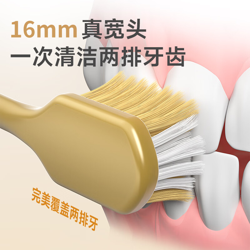 RAOYI山姆同款牙刷护龈软毛牙刷宽头牙刷深度清洁牙齿待客装家庭装 【山姆同款】软毛护龈 12支