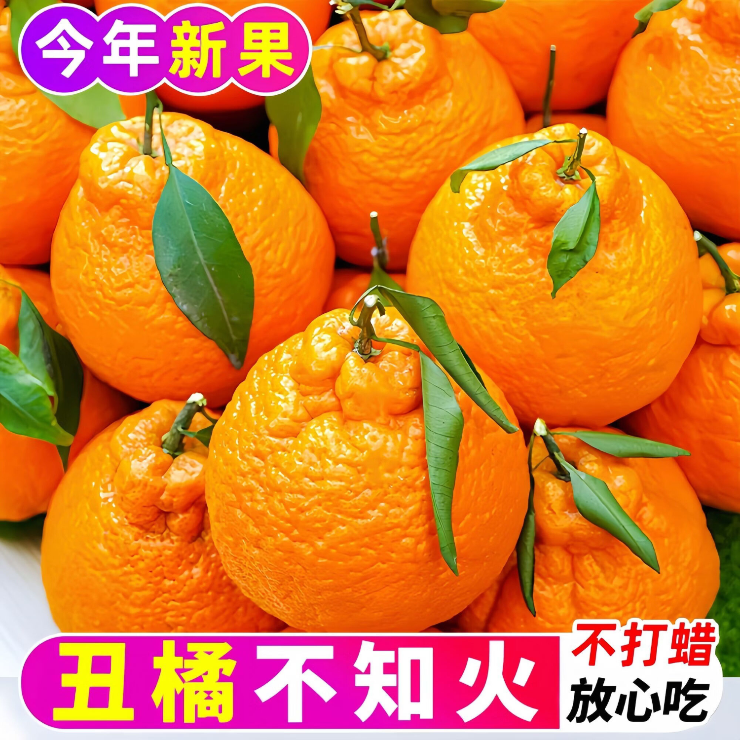 樱鲜四川不知火丑橘子新鲜应季水果丑柑丑八怪丑桔子当季孕妇送礼整箱 净重4.5-5斤单果75-80mm