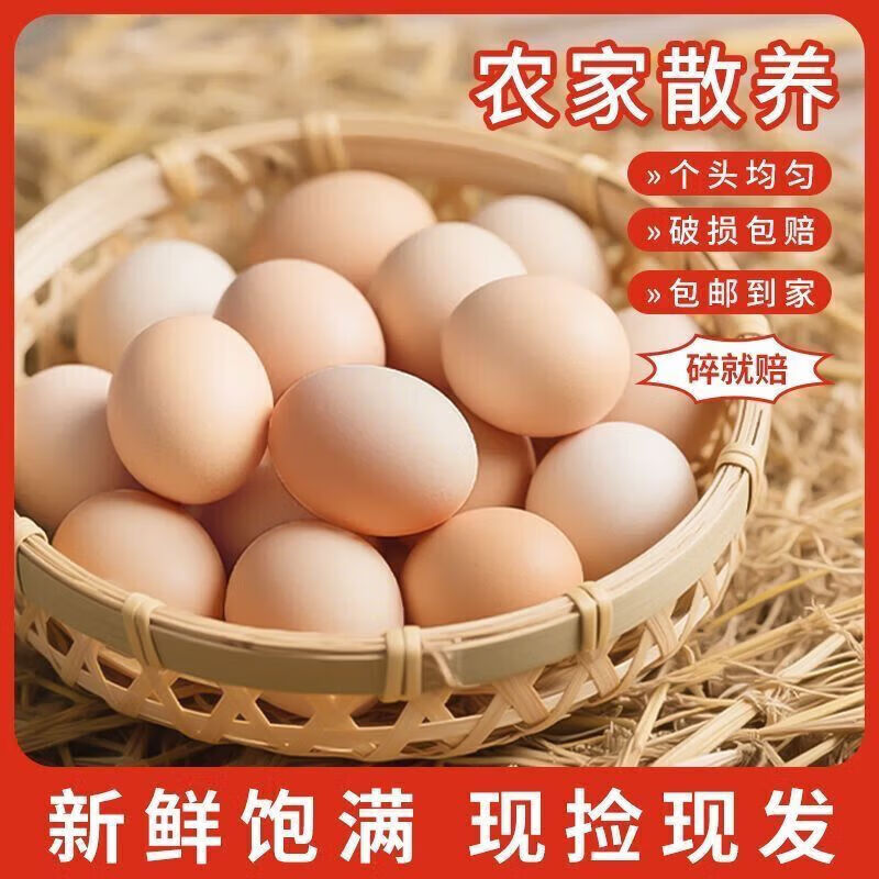 食怀农家散养新鲜土鸡蛋农家虫草蛋粉壳笨鸡蛋孕妇整箱批发 整箱单枚 10枚农家鲜鸡蛋约405g