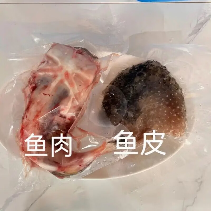 【顺丰包邮】正宗海南野生刺鲍鱼刺龟海南刺豚鱼皮海南高档海鲜 每条 2.5-3.01斤【发三条】海南千年渔港直发【野生】