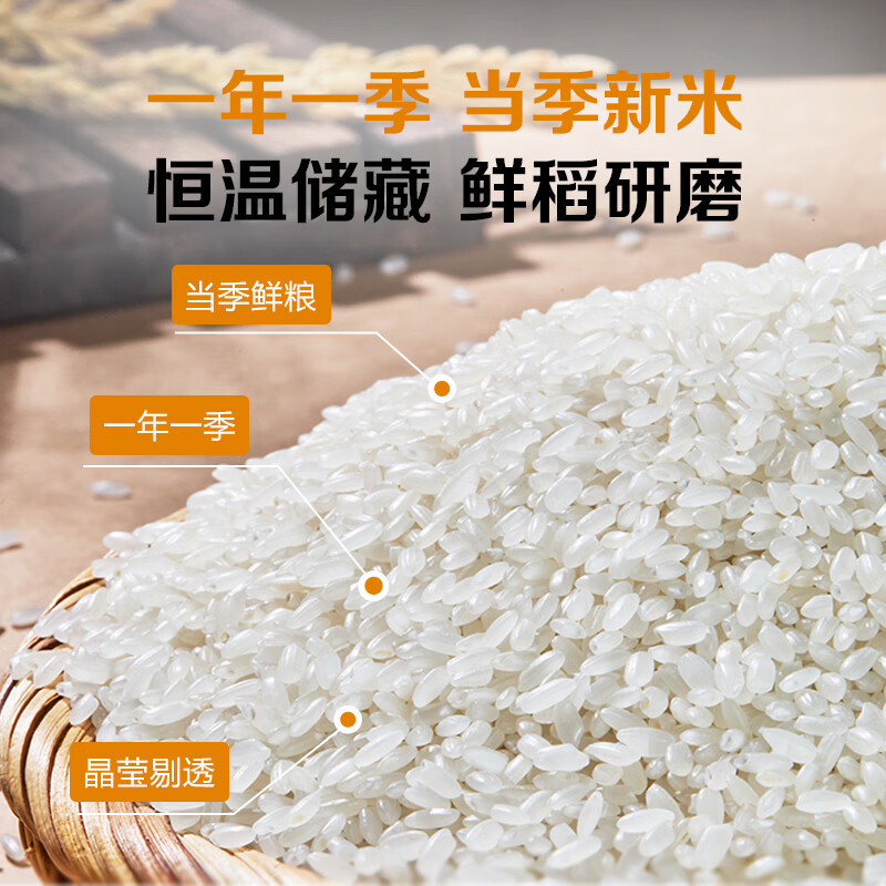 1号会员店长粒香米 5kg 正宗东北大米（十斤）团购 送礼 真空