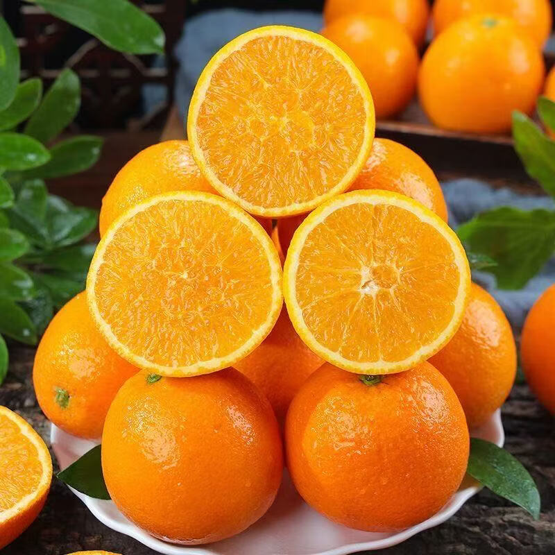 重庆奉节脐橙整箱新鲜当季正宗橙子生鲜纽荷尔橙子可榨汁手剥脐橙 净重5斤【单果70mm+】推荐