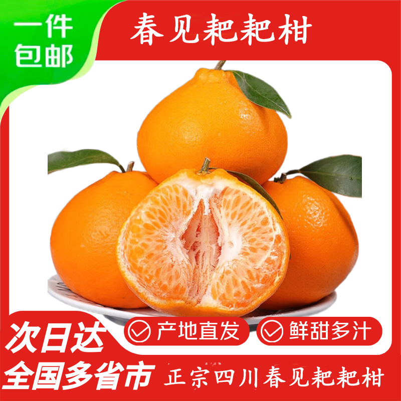 菲农正宗四川春见耙耙柑10斤新鲜水果当季整箱丑粑粑橘子柑桔源头直发 5斤【80%选择-划算】净4.8斤 春见耙耙柑中大果 京东折扣/优惠券