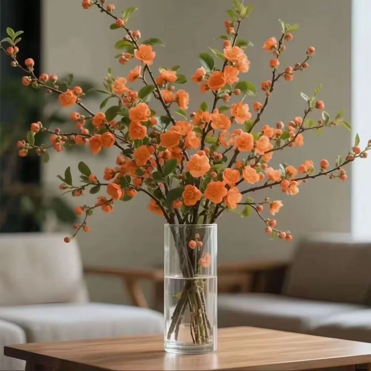 小红书同款遇水开花水培梅花AA 50-70厘米橙色 三周期开花10支（接受图与实物有色差拍） 京东折扣/优惠券