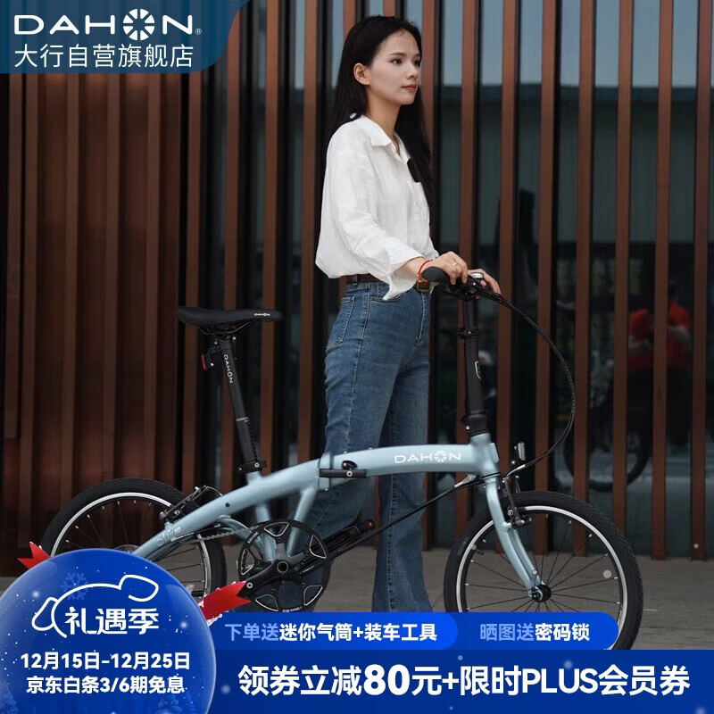 大行（DAHON）P10折叠自行车20英寸10速铝合金成人通勤V刹 PAA003 消光灰蓝