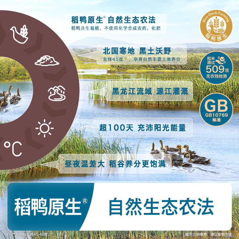 图 6