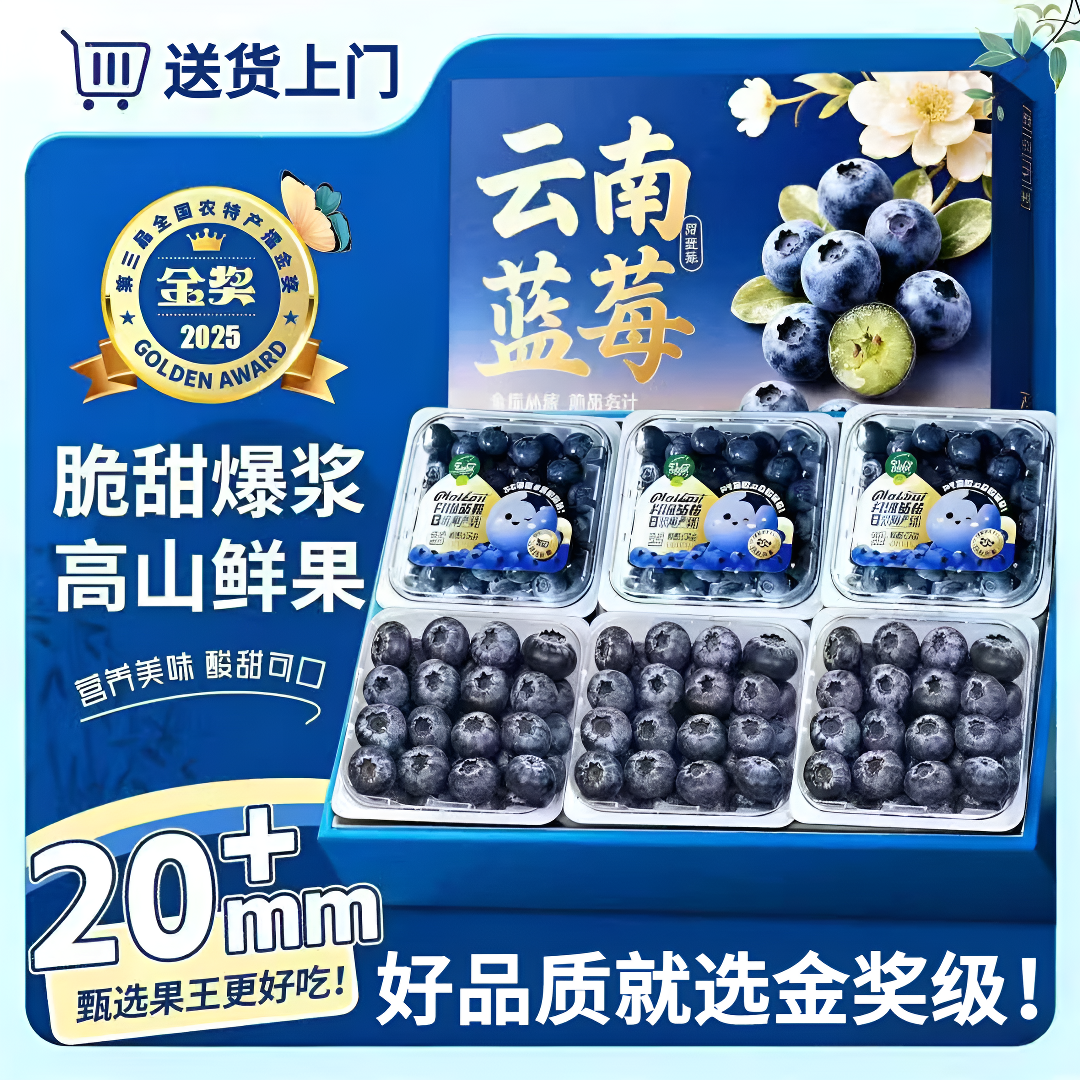 鲜级佳 金奖云南蓝莓王【多地次日达】新鲜孕妇L25花香蓝莓礼盒怡颗蓝莓 6盒【净重100g/盒】高复购率-超划算 巨无霸 好吃升级【单果18-20mm+】